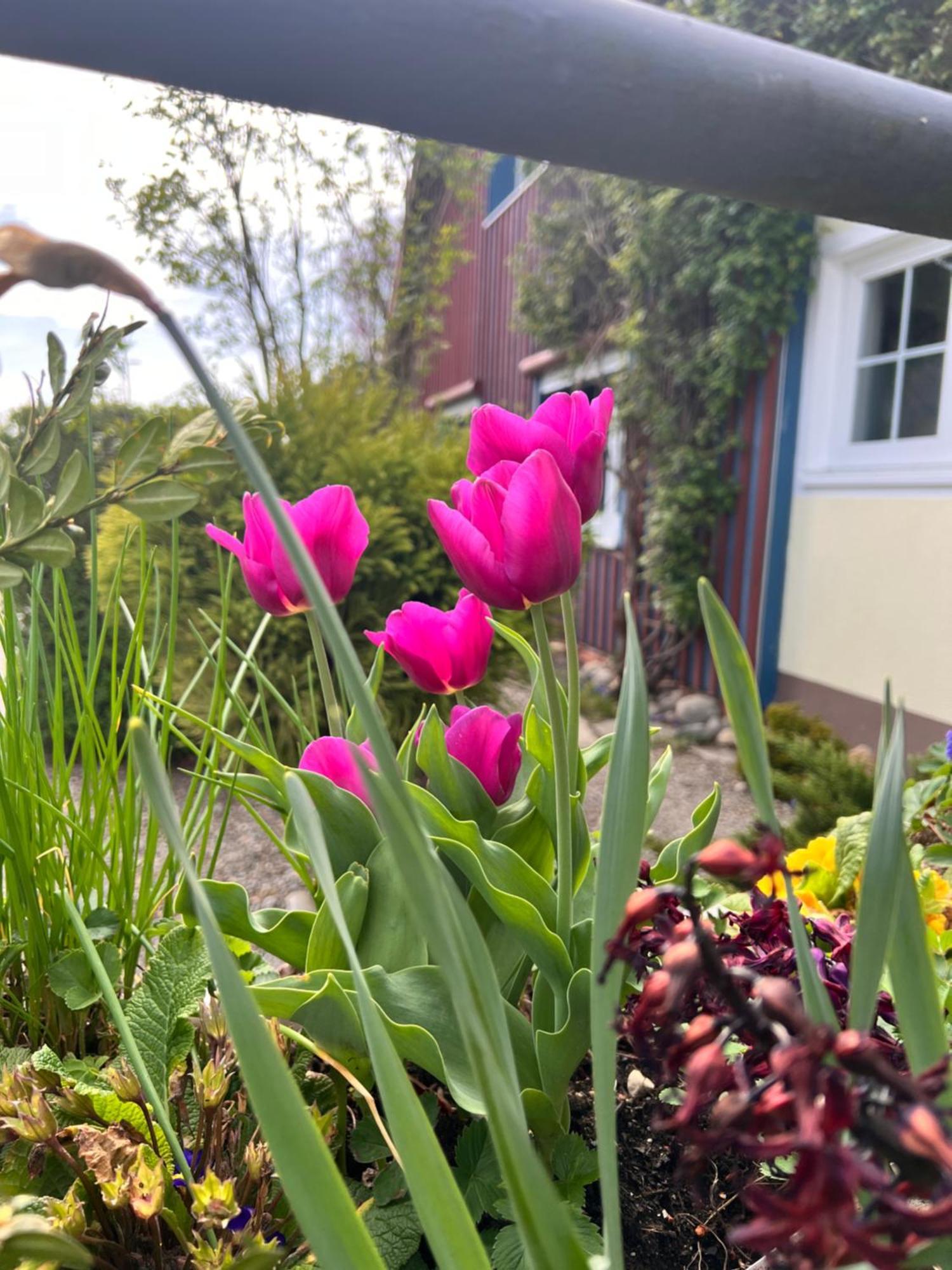 Am Flussgarten Eriskirch Luaran gambar