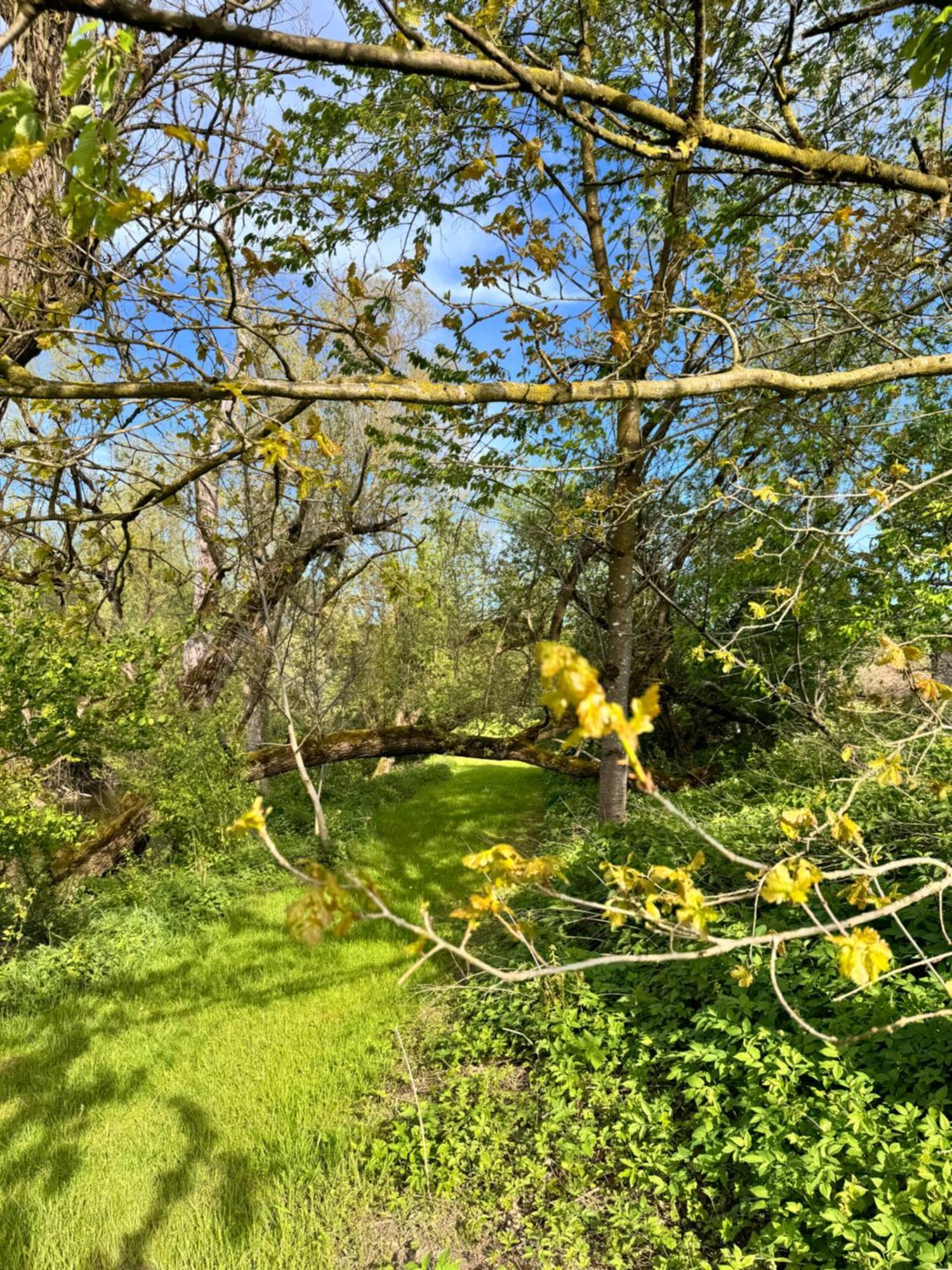 Am Flussgarten Eriskirch Luaran gambar
