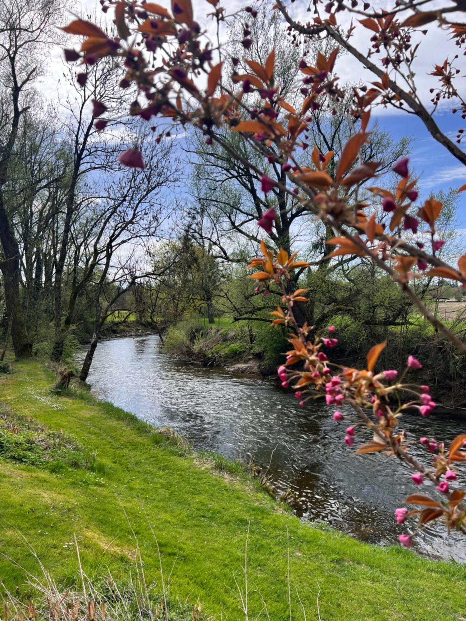 Am Flussgarten Eriskirch Luaran gambar