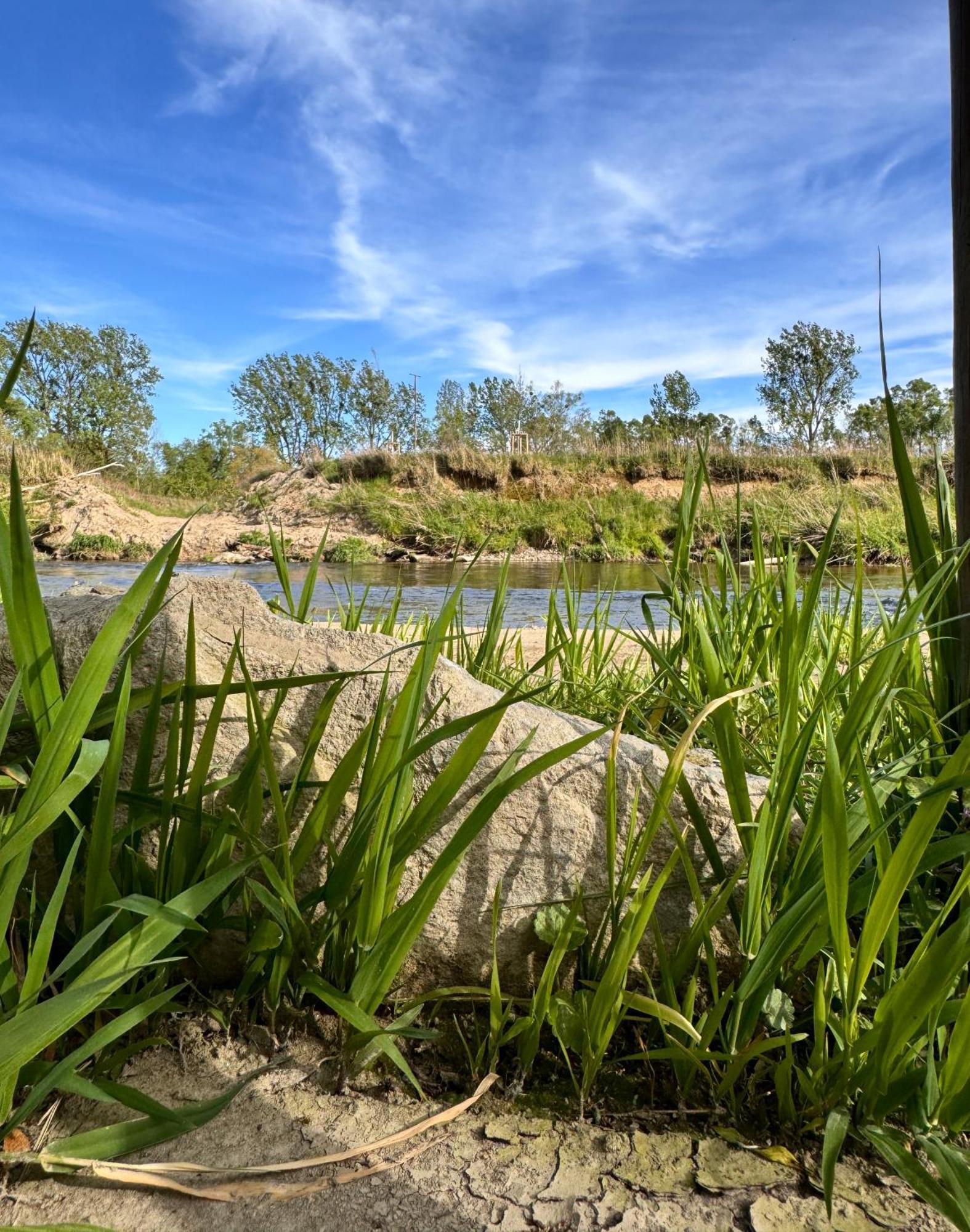 Am Flussgarten Eriskirch Luaran gambar