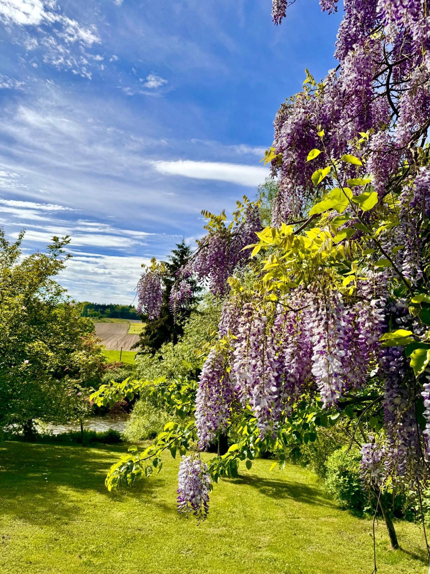 Am Flussgarten Eriskirch Luaran gambar