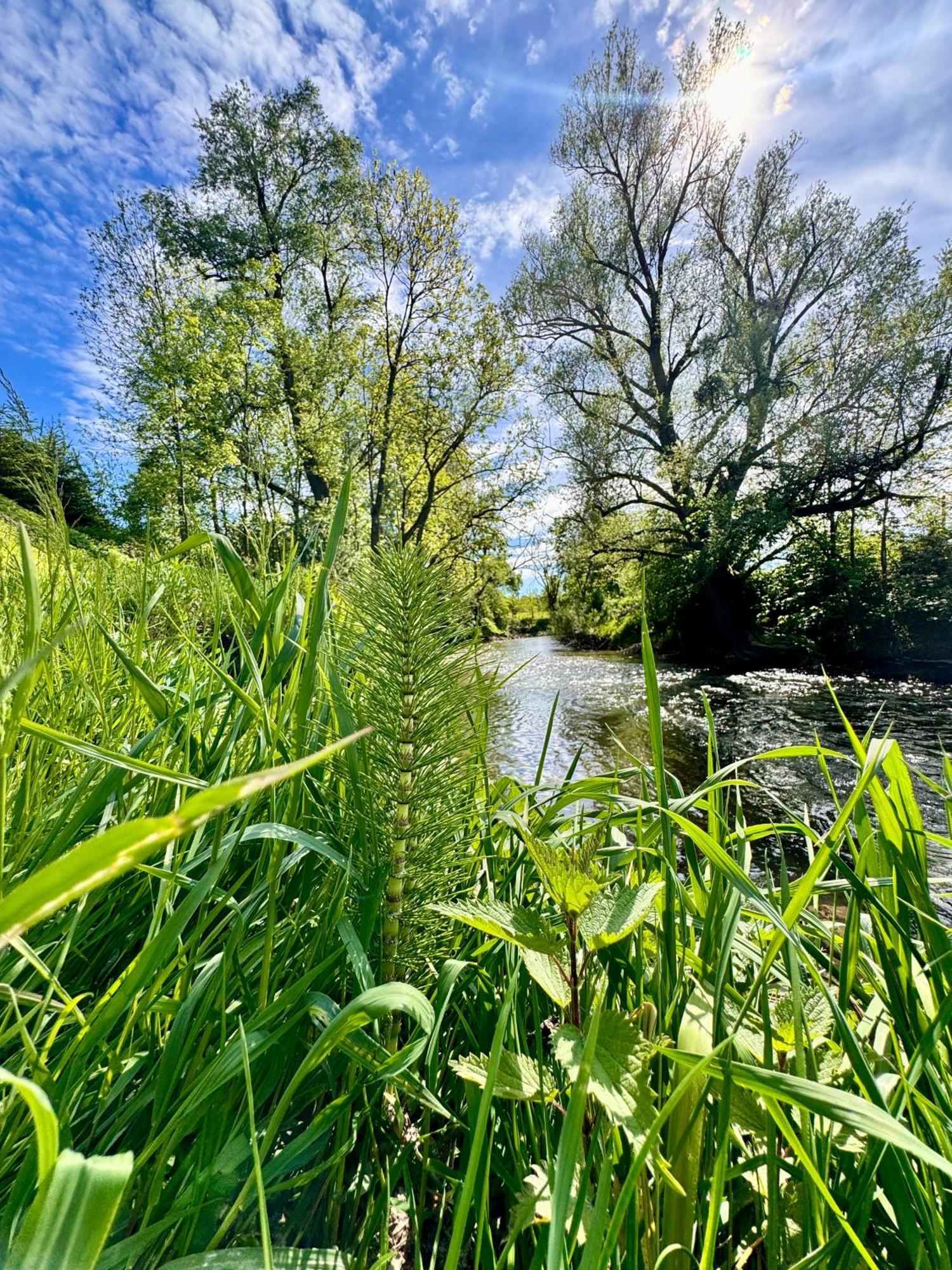 Am Flussgarten Eriskirch Luaran gambar
